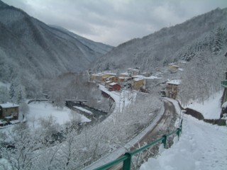  Image name: DSCF3853.JPG 
 width: 320 pixel 
 height: 240 pixel 
 Size: 22578 bytes 
 Click to enlarge 